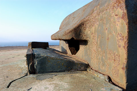 index.php?t=getfile&id=10205&private=0