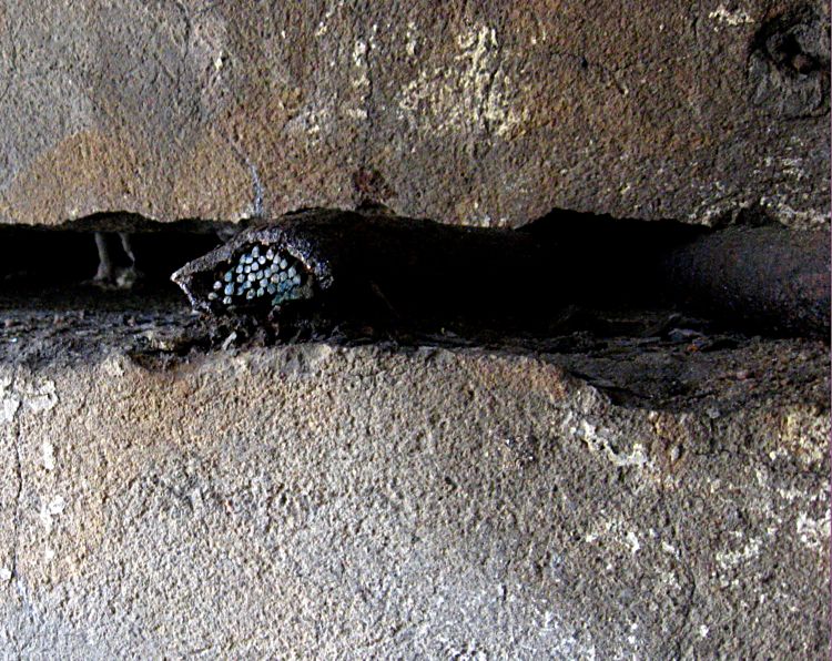 index.php?t=getfile&id=10268&private=0