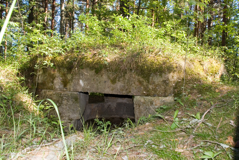 index.php?t=getfile&id=12060&private=0