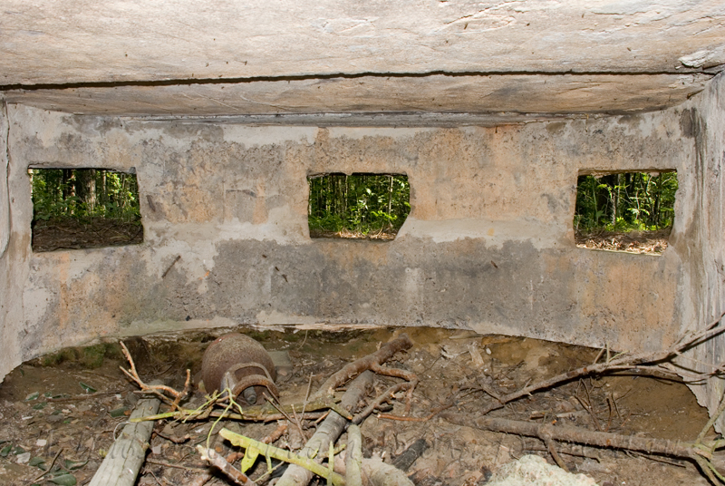 index.php?t=getfile&id=12061&private=0