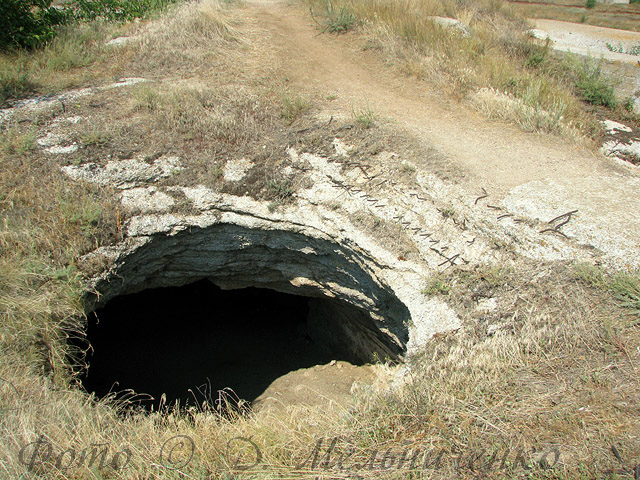 index.php?t=getfile&id=13364&private=0