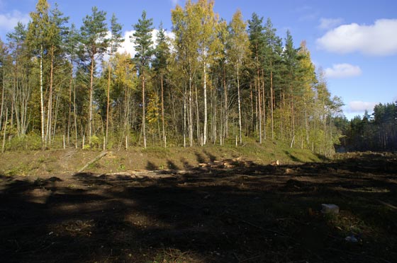 index.php?t=getfile&id=13765&private=0