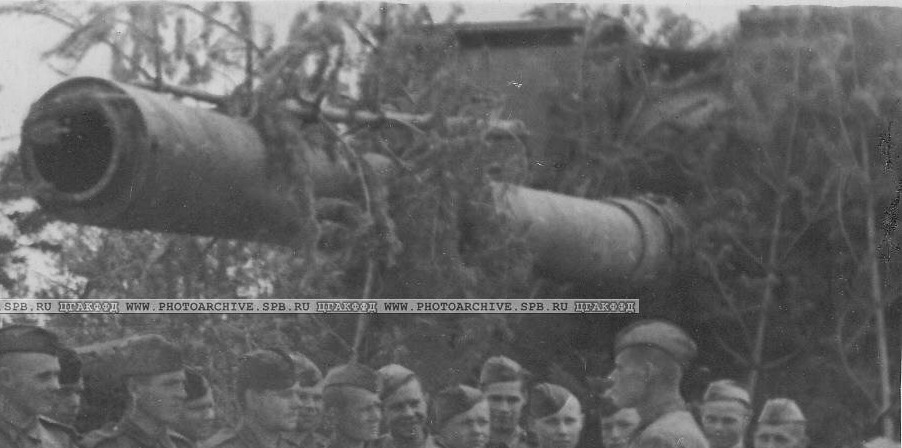 index.php?t=getfile&id=14286&private=0