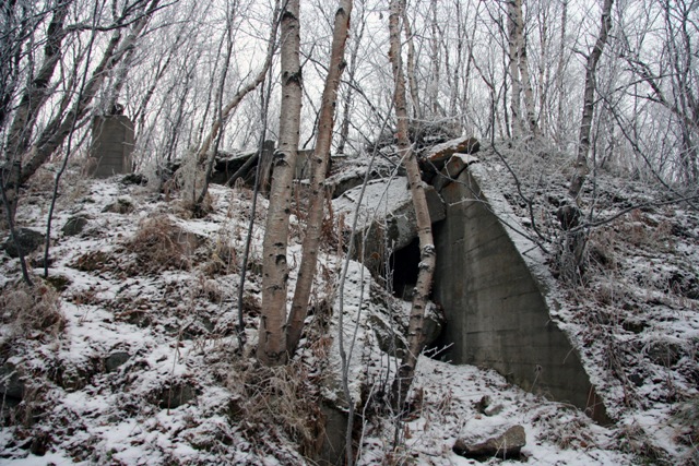 index.php?t=getfile&id=1601&private=0