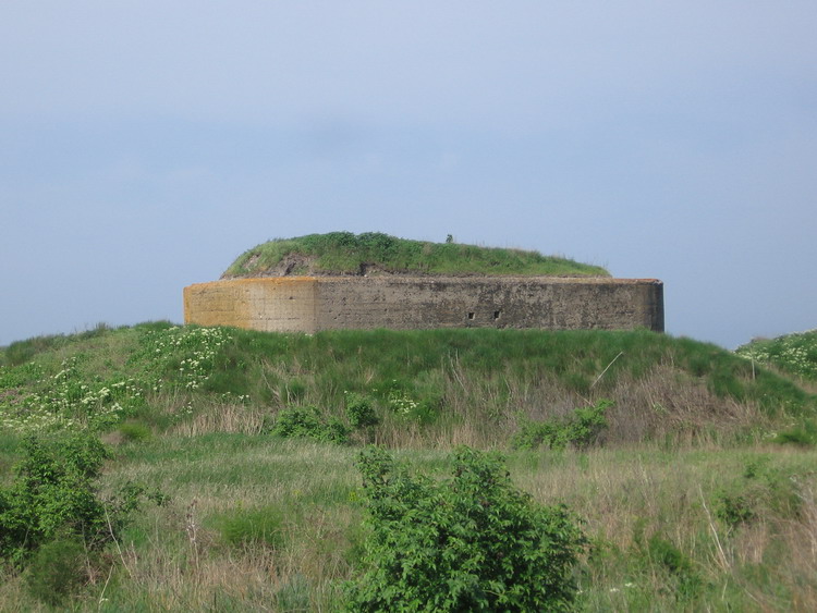 index.php?t=getfile&id=17551&private=0