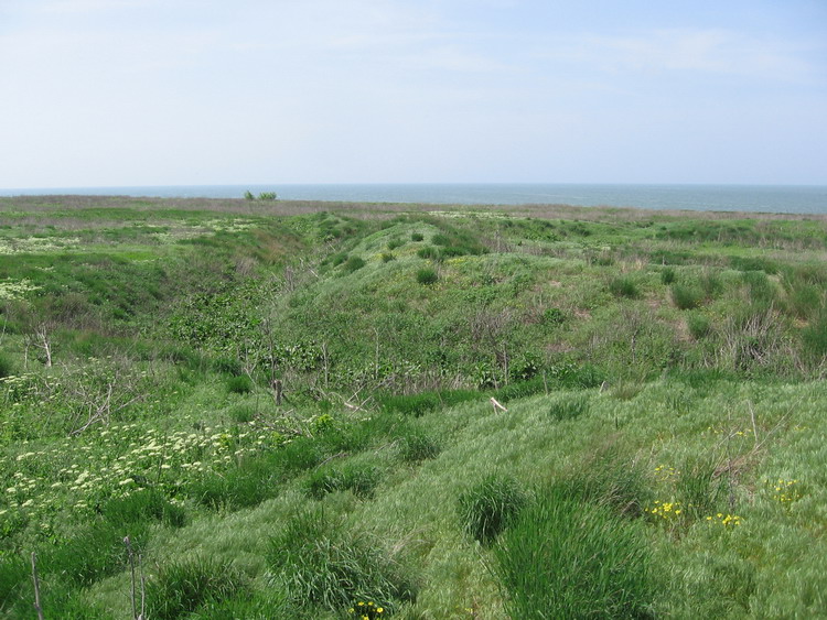 index.php?t=getfile&id=17566&private=0