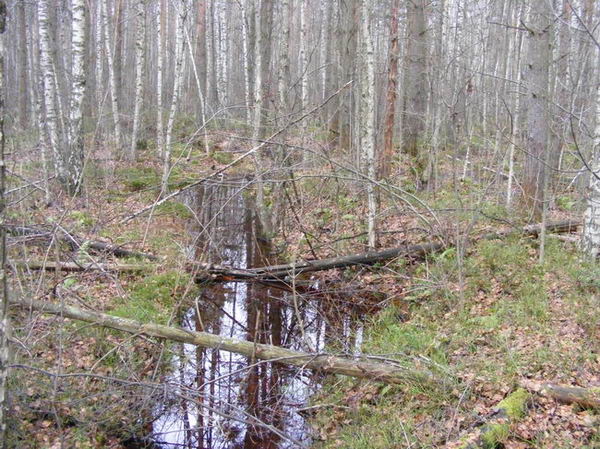 index.php?t=getfile&id=2071&private=0