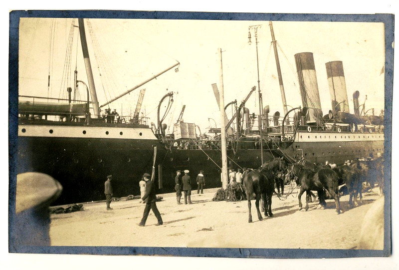 index.php?t=getfile&id=31274&private=0