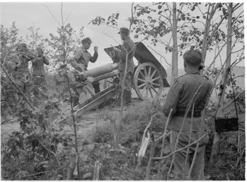 index.php?t=getfile&id=31442&private=0