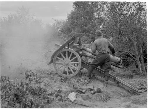 index.php?t=getfile&id=31444&private=0