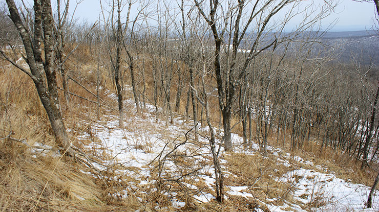 index.php?t=getfile&id=34456&private=0