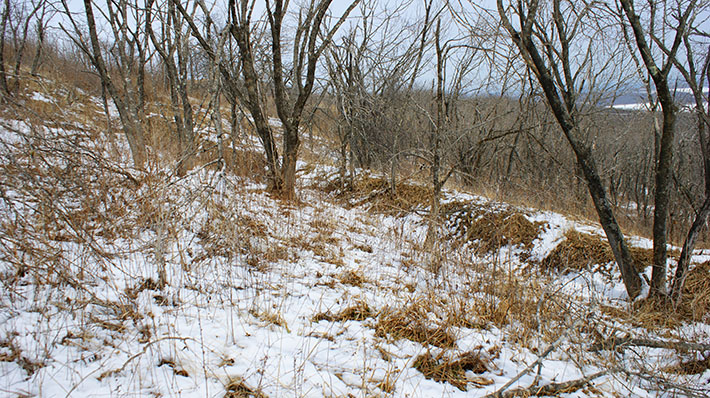 index.php?t=getfile&id=34460&private=0