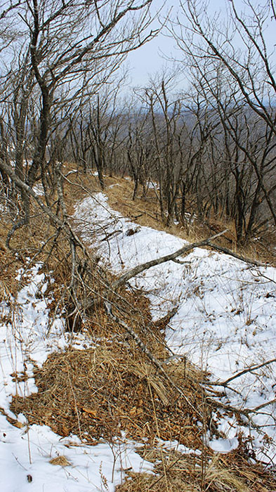 index.php?t=getfile&id=34462&private=0