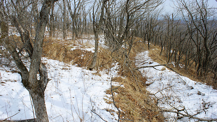 index.php?t=getfile&id=34463&private=0