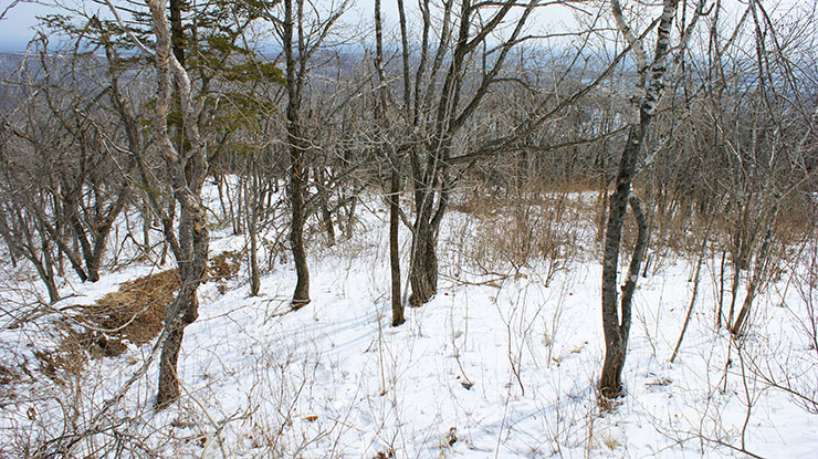 index.php?t=getfile&id=34464&private=0