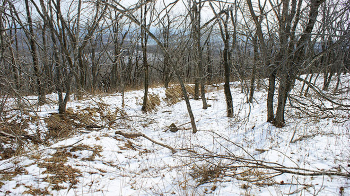 index.php?t=getfile&id=34465&private=0