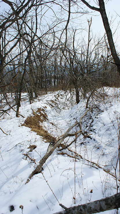 index.php?t=getfile&id=34466&private=0