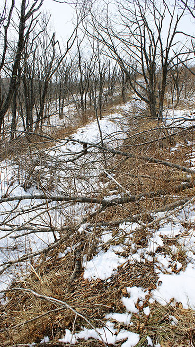 index.php?t=getfile&id=34467&private=0