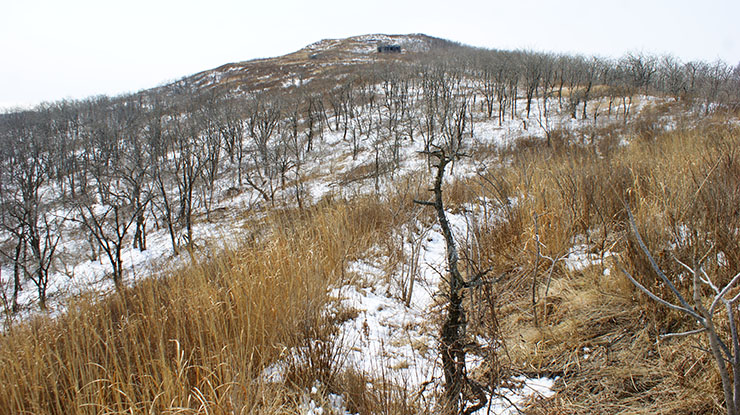 index.php?t=getfile&id=34468&private=0