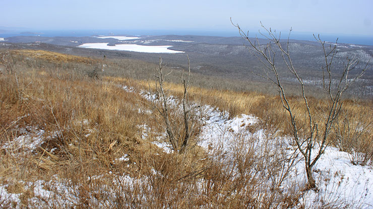 index.php?t=getfile&id=34473&private=0