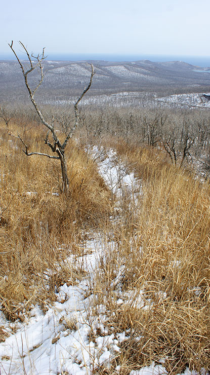 index.php?t=getfile&id=34475&private=0