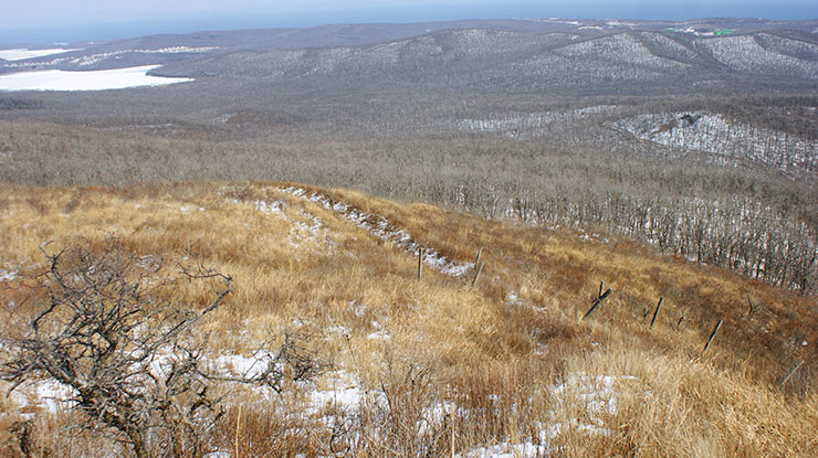 index.php?t=getfile&id=34476&private=0