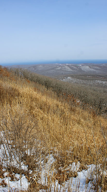 index.php?t=getfile&id=34478&private=0