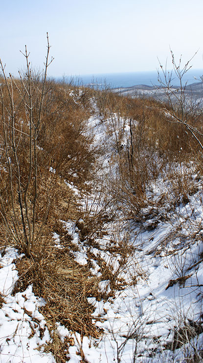 index.php?t=getfile&id=34480&private=0