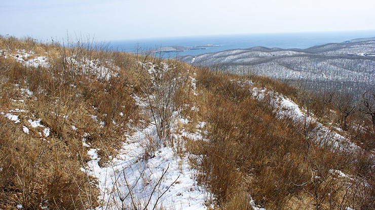 index.php?t=getfile&id=34481&private=0