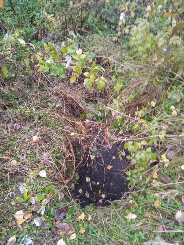 index.php?t=getfile&id=35624&private=0