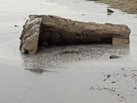 index.php?t=getfile&id=35661&private=0