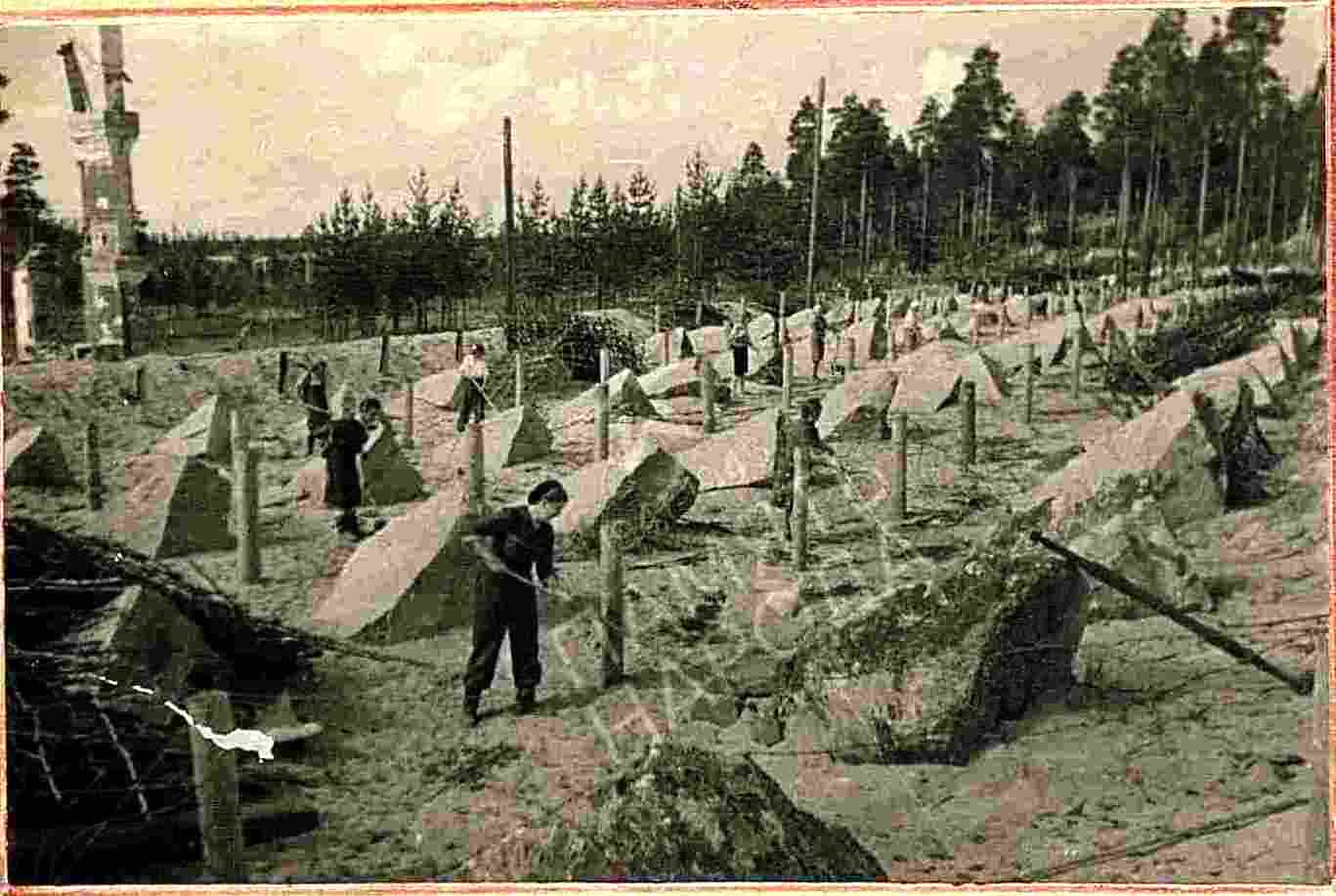 index.php?t=getfile&id=35713&private=0