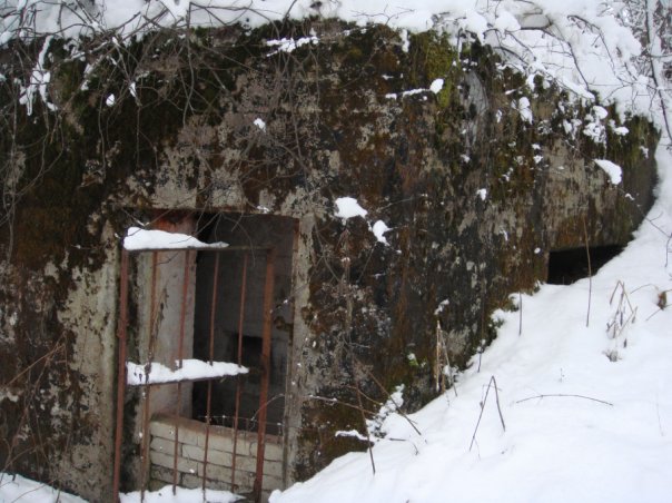 index.php?t=getfile&id=9568&private=0