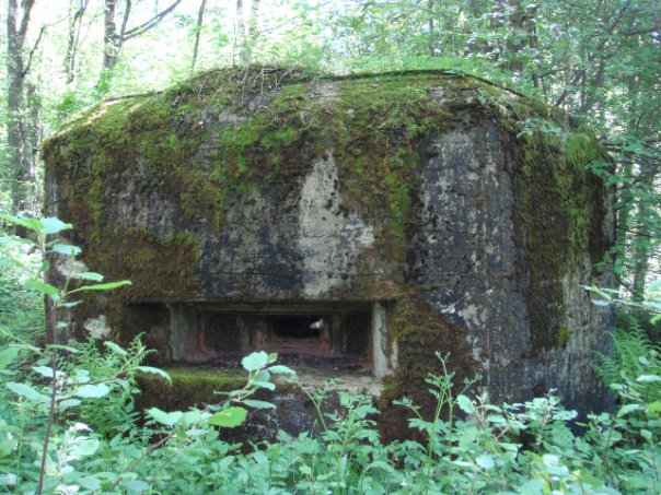 index.php?t=getfile&id=9572&private=0